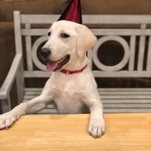 Meet your Posher, Sharie